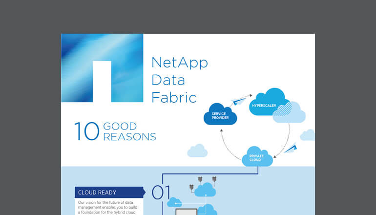 Article NetApp Data Fabric Infographic  Image
