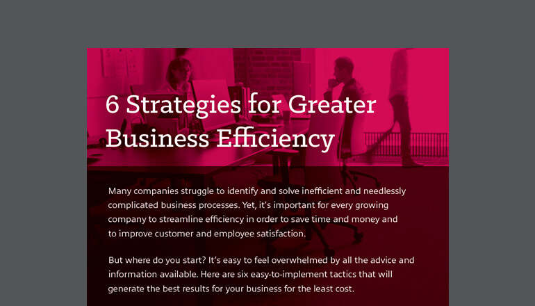 Article 6 Strategies for Greater Business Efficiency Image