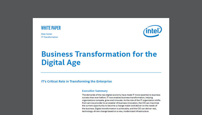 Article Business Transformation for the Digital Age Image