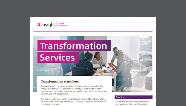 Article Insight Transformation Services Datasheet Image