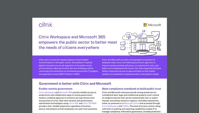 Article Citrix Workspace and Microsoft 365 Empower the Public Sector  Image