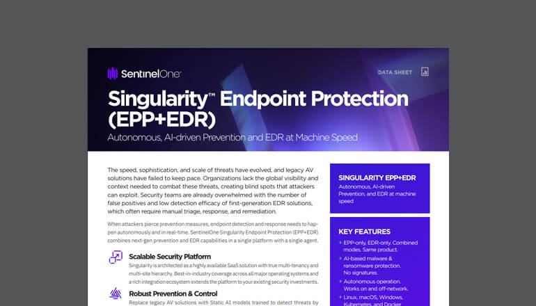 Article Singularity Endpoint Protection  Image
