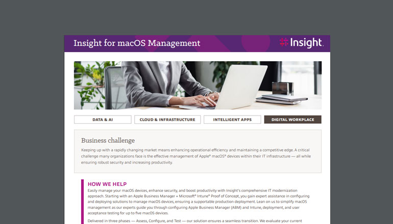 Article Insight for macOS Management Image