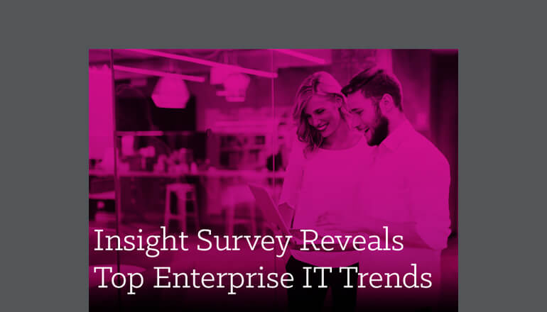Article Insight Survey Reveals Top Enterprise IT Image