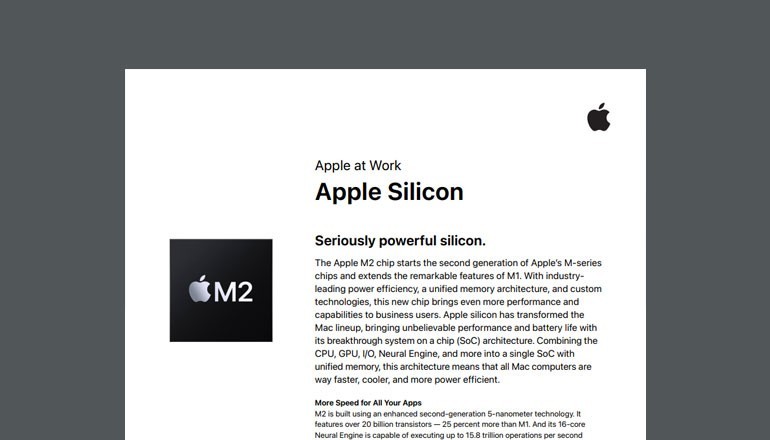 Thumbnail image of Apple ebook available to download below