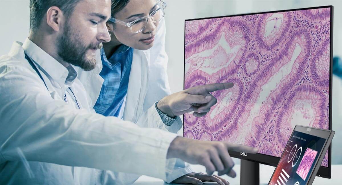 Doctors looking at magnified cells on desktop computers