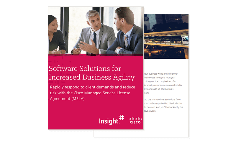 Cover image of Software Solutions for Increased Business Agility