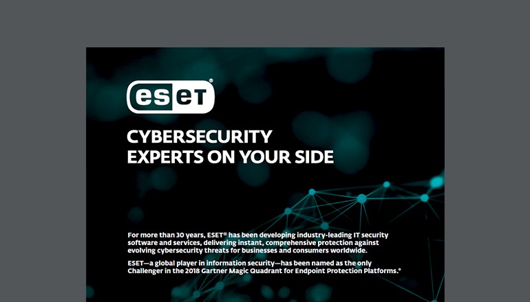 Cybersecurity Experts on Your Side  thumbnail