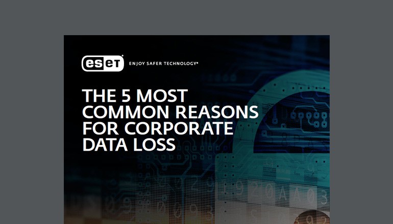 The 5 Most Common Causes of Data Loss Brief thumbnail