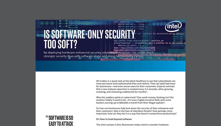 Is Software-Only Security Too Soft? cover